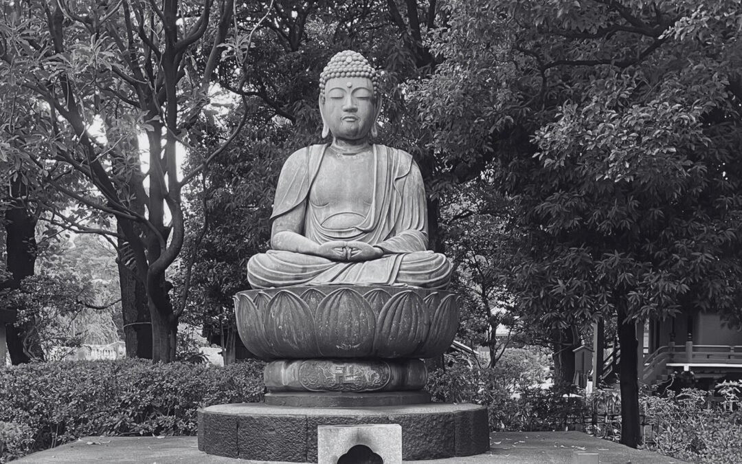 Wellness-Schulungen auf höchstem Niveau – Ayurvedische Massagen neu definiert